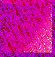 But07.jpg (2311 bytes)